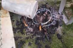 IMG-20220825-WA0053