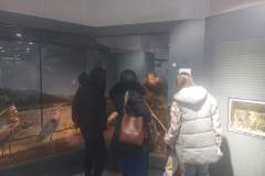 FB_IMG_1706341181898