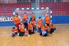 HandBall-in-1