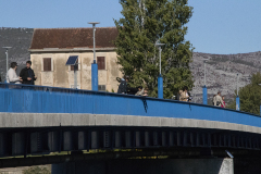 grad-projekt-13