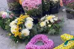 IMG-20211029-WA0005