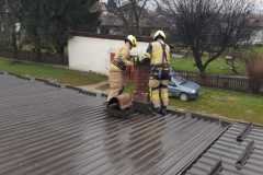 IMG-20201231-WA0009