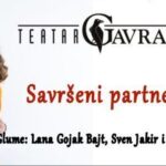 Savršeni partner